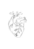 Heart Anatomy Line Art | Lav din egen plakat