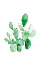 Cactus Watercolor Art | Lav din egen plakat