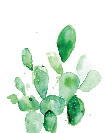 Cactus Watercolor Art