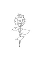 Sunflower Line Art | Lav din egen plakat