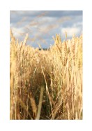 Wheat Field | Lav din egen plakat