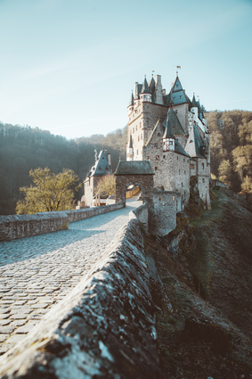 Castle In The Forest