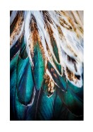Colorful Feathers | Lav din egen plakat