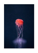 Vibrant Jellyfish In The Ocean | Lav din egen plakat