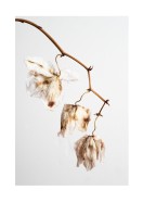 Dried Flower Petals | Lav din egen plakat