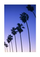 Palm Trees At Sunset In California | Lav din egen plakat