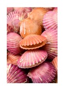 Pink Sea Shells | Lav din egen plakat