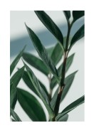 Green Plant Close-up | Lav din egen plakat