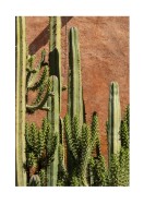 Cactus Plant In The Sun | Lav din egen plakat