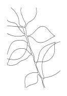 Botanical Line Art | Lav din egen plakat