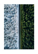 A Forest In Summer And Winter | Lav din egen plakat