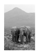 Two Elephants In Black And White | Lav din egen plakat