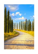 Cyprus Trees In Italy | Lav din egen plakat